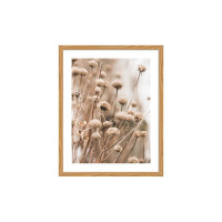 Stampa con cornice 40 x 50 cm 6340 01  tema floreale BUBOLA & NAIBO  