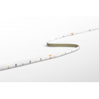 Accento Strip LED 3 metri IP65