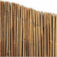 Arella Time 2x3 Biacchi Ettore