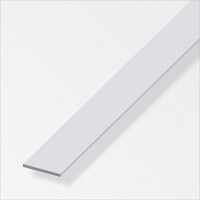 Barra Piatta Alluminio Argentato 60x3mm 1 Metro