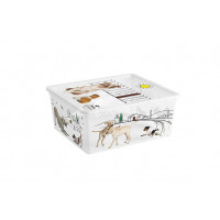 C-BOX STYLE PETS SCATOLA 40X34X17CM