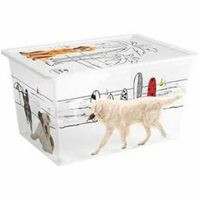 Scatola C-Box Style Pets Xl 55x38,5x30,5 Keter