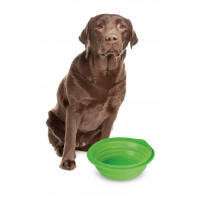 LAMPA CIOTOLA SILICONE DA VIAGGIO PETS  DA 1 LT 