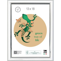 CORNICE HARING 20MM 50X70 CM BIANCO/ARGENTO  CRILEX
