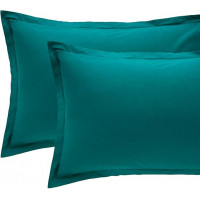 Coppia federe Paint ottanio Angelo Carillo & C.
