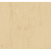 D-C-Fix 2m x 67cm Pellicola vinilica adesiva in legno di betulla 