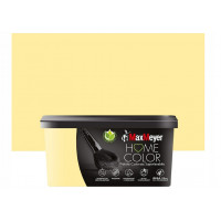 HOME COLOR SUPERLAVABILE AVOCADO FLACONE DA  2.5 LT 