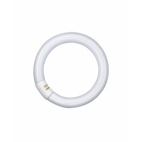 Lampadina fluorescente Osram Lumilux L 32W/840