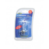 LAMPADA H7 EFFETTO XENON 12V 55W 