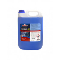 LAVAVETRI INVERNALE -20C NEUTRON FLACONE DA 5L