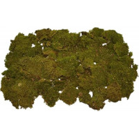 Muschio naturale tappeto 350 gr Rossi Rosa