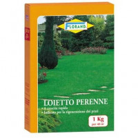 Semi Loietto Perenne pacco da Kg.1