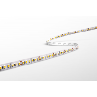 CENTURY STRIP LED ACCENTO PRO 10W/m  144 Led/m 4000K 1150 Lm  5 MT IP 20  