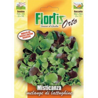Semi Orto Mix Insalate Lattughe da Taglio