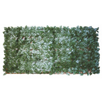 Sempreverde Point foglie lauro 1,5x20 Biacchi Ettore