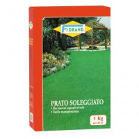 Prato Soleggiato  pacco da 1000 g