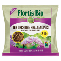TER Orchidee Phalaenopsis sacco da 2 L