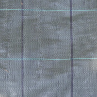 Tessuto Pacciamatura Anti Erbacce verde 1X10 MT 
