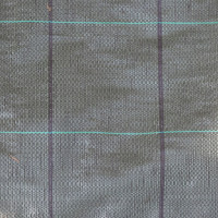 Tessuto pacciamatura verde rotolo 2,10x100 Biacchi Ettore