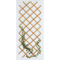 Traliccio estensibile bambù 150x180 Biacchi Ettore