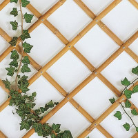 Traliccio estensibile BAMBOO 180x240 cm 