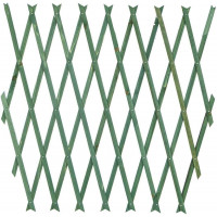 Traliccio estensibile legno verde 100x300 Biacchi Ettore