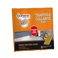  Trappola Collante Tavoletta 14x19