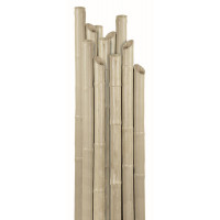 Cannetta in plastica reggipiante 27 mm - cm 150 Biacchi Ettore