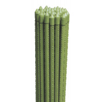 Cannette tutore Reggipiante 16 mm - 180 cm Biacchi Ettore