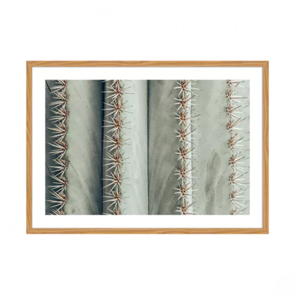 cornice faggio 50x70 stampa cactus BUBOLA & NAIBO   