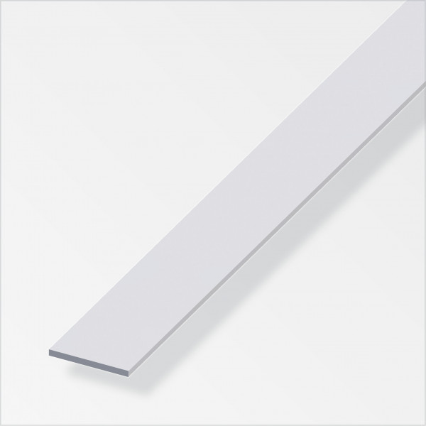 Barra Piatta Alluminio Argentato 60x3mm 1 Metro