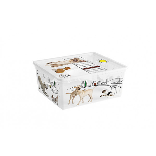C-BOX STYLE PETS SCATOLA 40X34X17CM