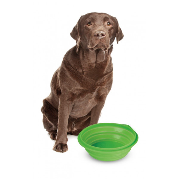 LAMPA CIOTOLA SILICONE DA VIAGGIO PETS  DA 1 LT 