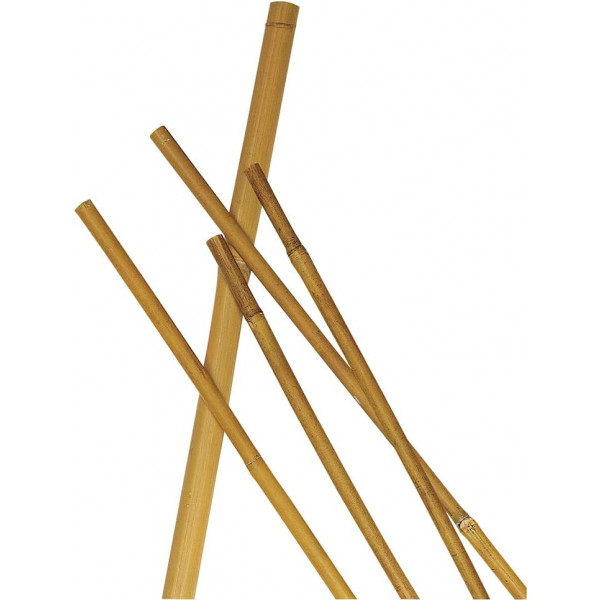VERDELOOK Cannetta bamboo naturale altezza 120cm  10/12mm 