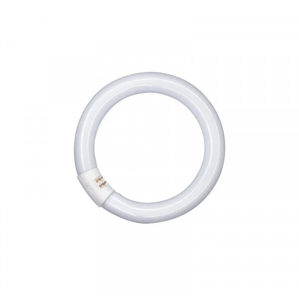 Lampadina Fluorescente Circolare Osram Lumilux L 40W/840 G10q