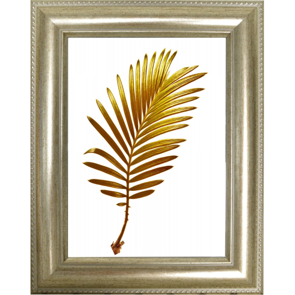 CORNICE RAY 30MM 18X24CM ARGENTO CRILEX