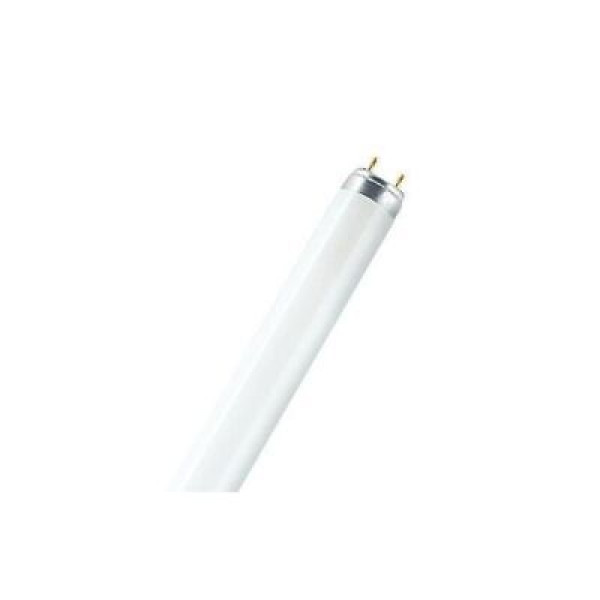 Lampadina LED Active L 8W/840 G5