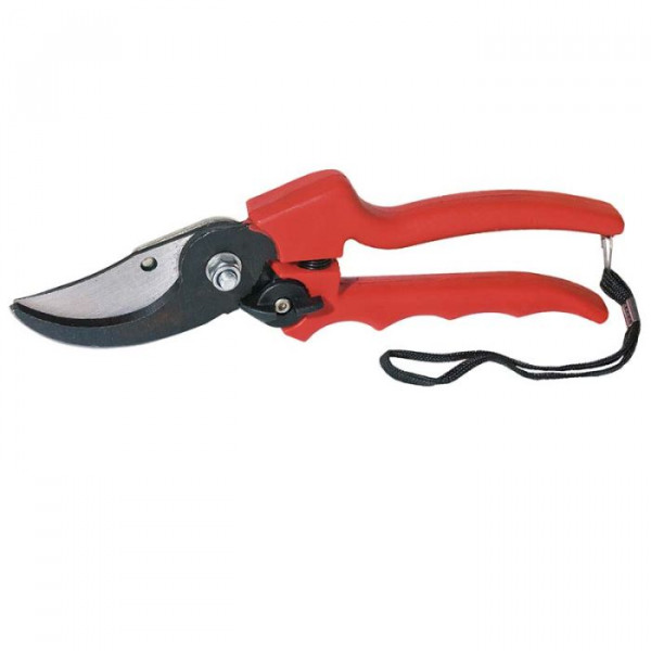 Metodo Forbice da giardino, 21 cm  professionali 