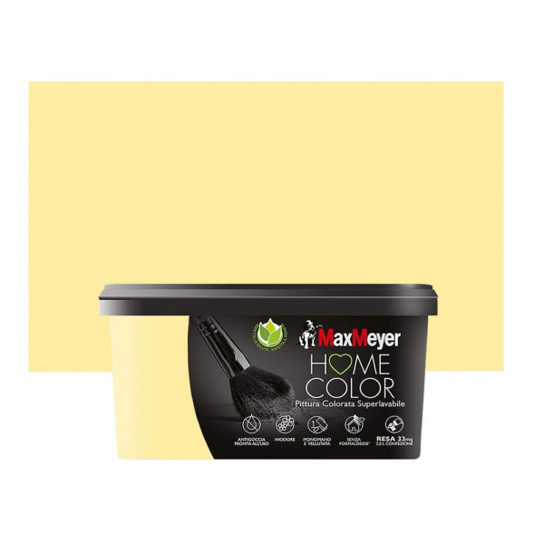 HOME COLOR SUPERLAVABILE AVOCADO FLACONE DA  2.5 LT 