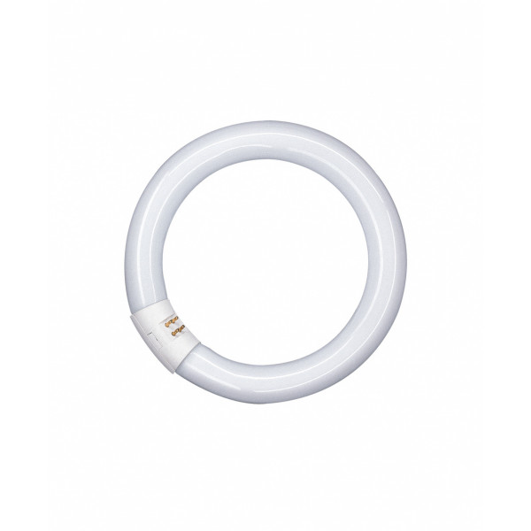 Lampadina fluorescente Osram Lumilux L 32W/840