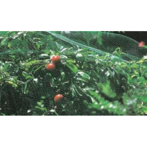 Rete di Protezione verde Ortoflex 2x10 M Tenax