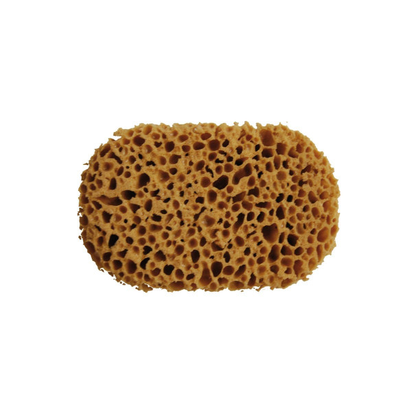 PINTY SPUGNA SINTETICA