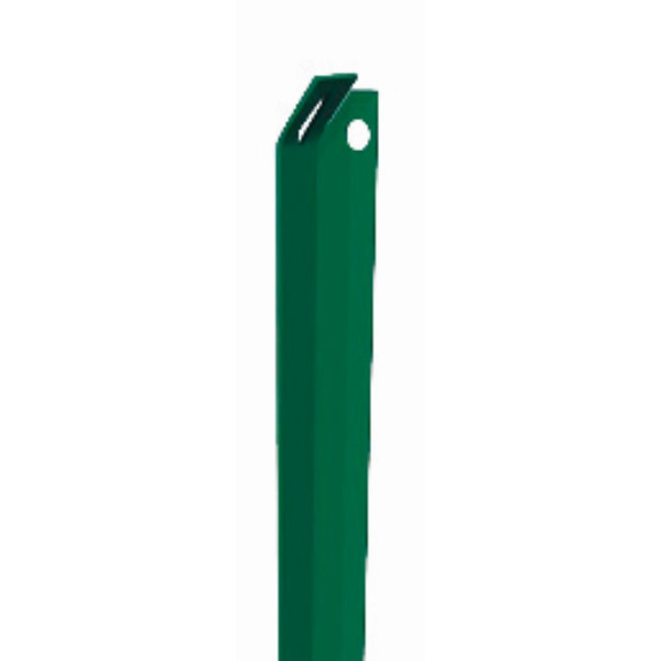Saetta plastificata verde mt 1.5 Biacchi Ettore