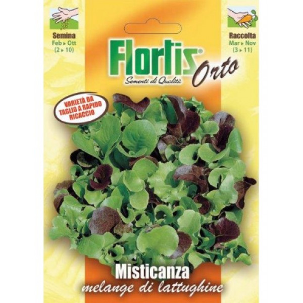 Semi Orto Mix Insalate Lattughe da Taglio