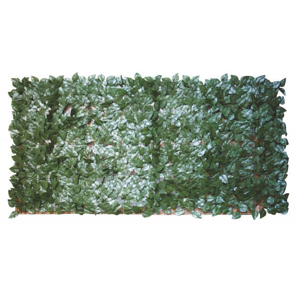 Sempreverde Point foglie lauro 1x3 Biacchi Ettore