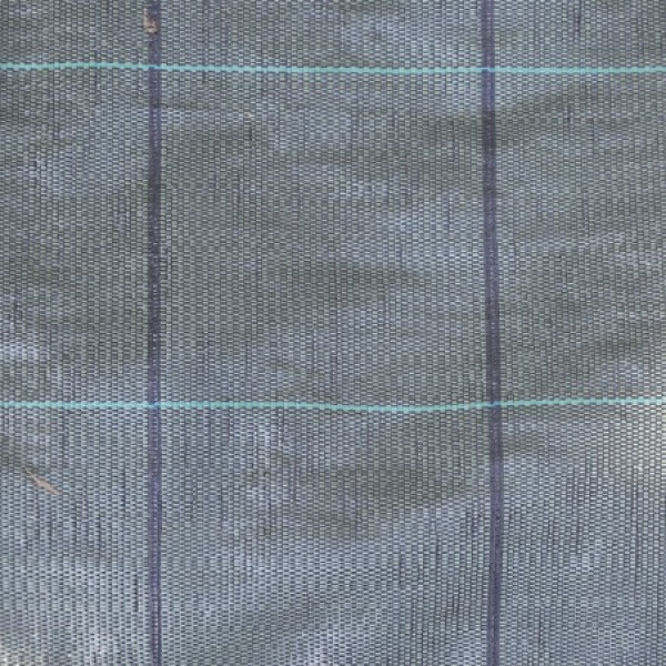 Tessuto Pacciamatura Anti Erbacce verde 1X10 MT 