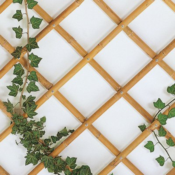 Traliccio estensibile BAMBOO 180x240 cm 