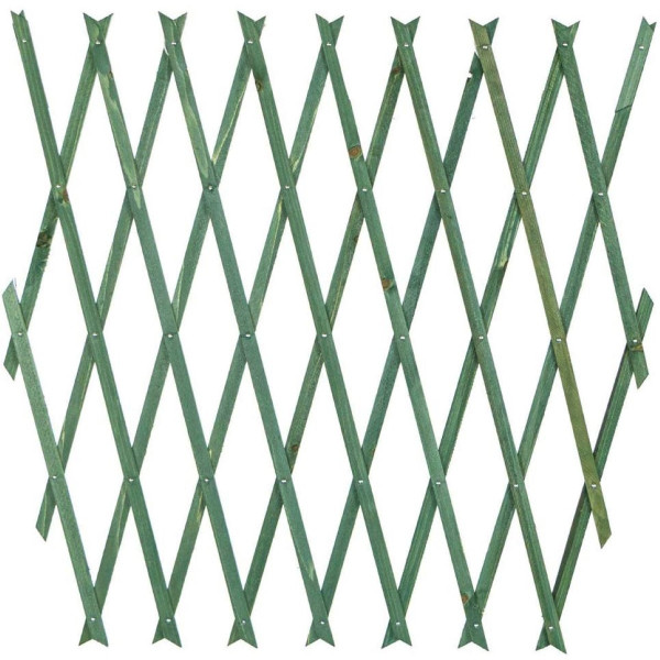 Traliccio estensibile legno verde 100x300 Biacchi Ettore