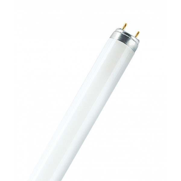 Tubo fluorescente Osram Active L 36W ATTA 