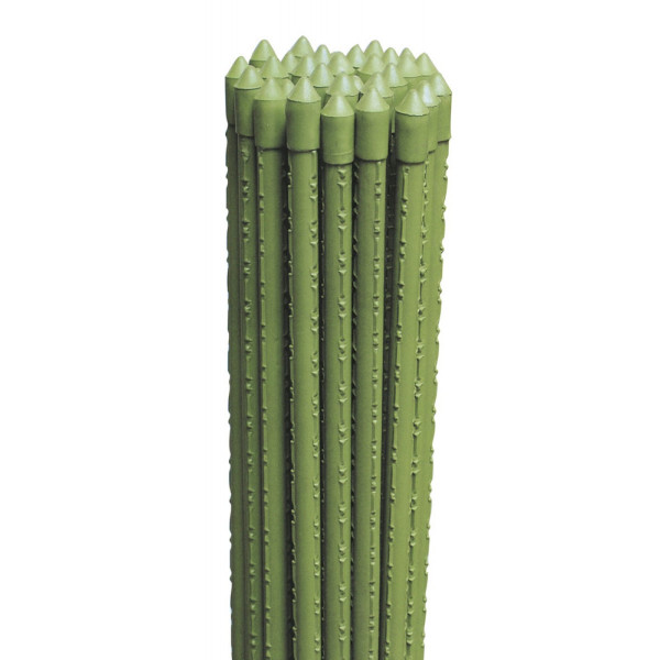 Cannette tutore reggipiante 18 mm - 240 cm Biacchi Ettore